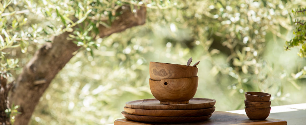 Olive Trees Forest