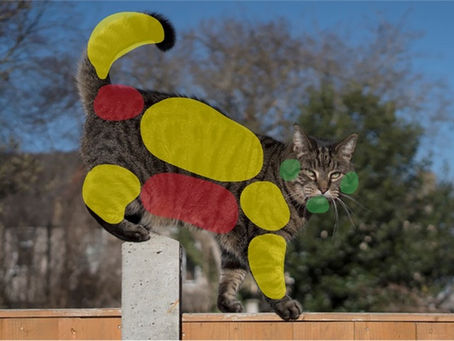 'CAT' friendly interacting
