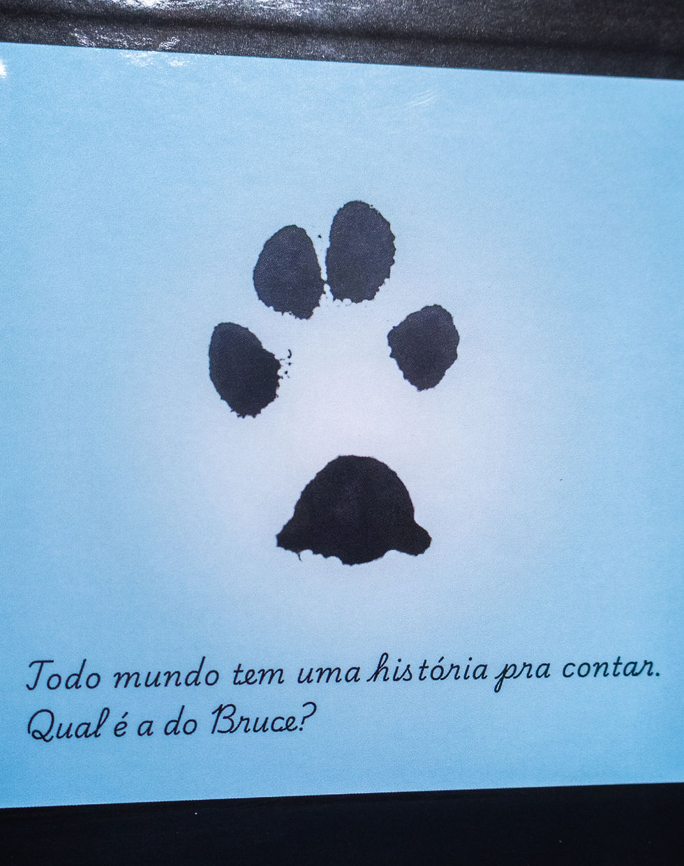 Miniatura: Livro de Memórias - Fotos e Texto