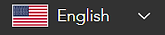 American Flag with English spelt