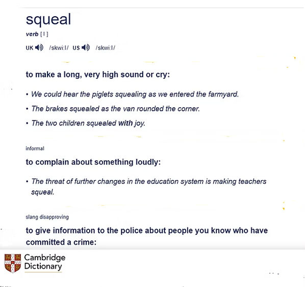 "Squeal" seen on Cambridge Dictionary