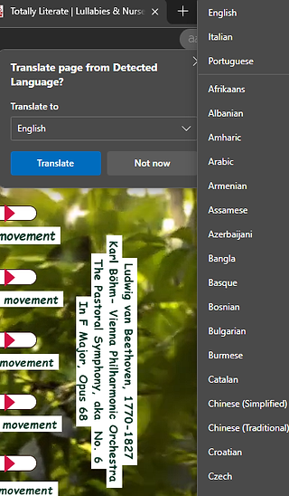 Long list of Languages to pick from