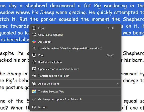 Translate Selected text