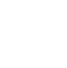 ID Lucas Zanini-36.png