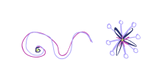 TAS.png