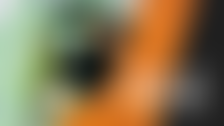 What Is Adaptive Rock Climbing?