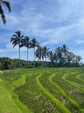 Soul a Silent Retreat Bali Eco Stay