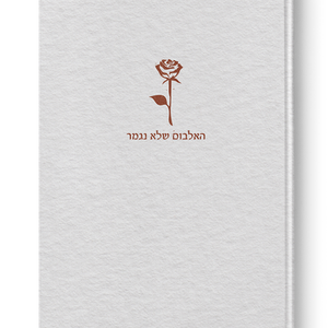 The Never Ending Album - Asaf Reshef & Sean Levy