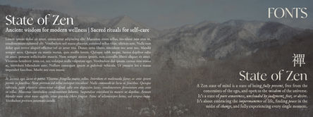 state of zen brand guidlines final3.jpg