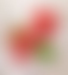 סורבה תותים או פירות יער