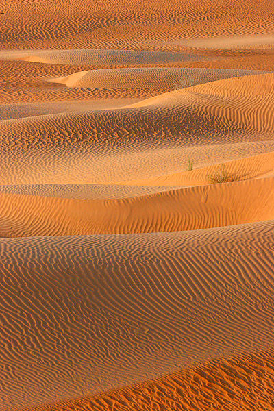 Thumbnail: Rub' al Khali Necklace