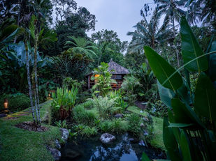 Soul a Silent Retreat Bali Eco Stay