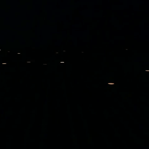 giphy-1.gif