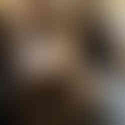 Guest Artist: Eduardo Lazo (Echos Hair Design, San Francisco)