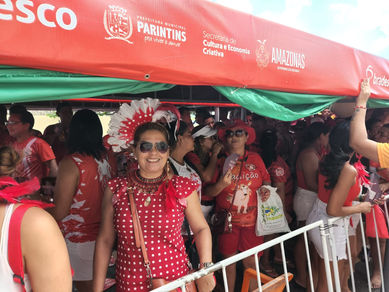 Galeras levam animação da fila até as arquibancadas do Bumbódromo