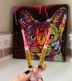 PRP sample.jpeg