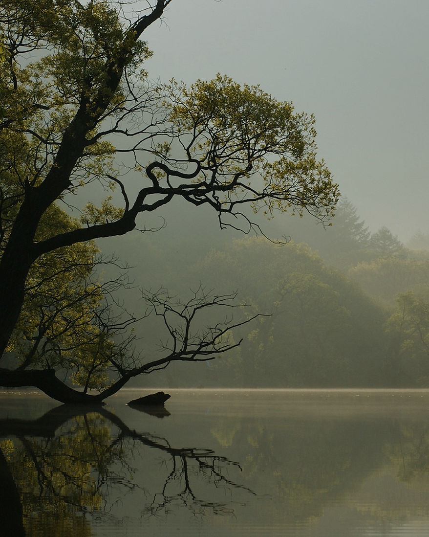 Calming place where healing, deep relaxation and inner peace can happen.