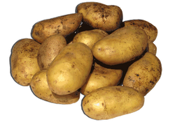 Batata
