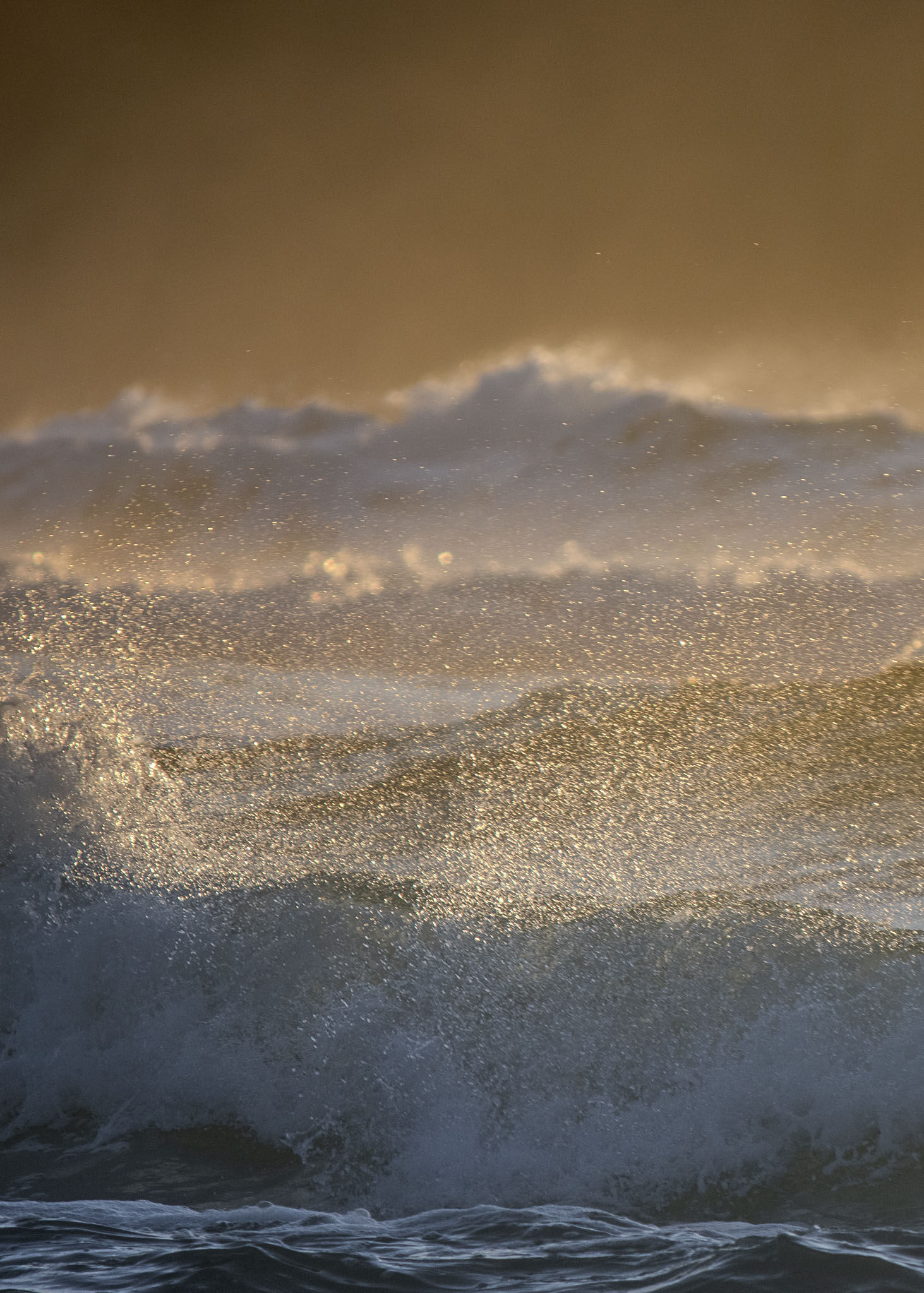 Golden Spray Zenith Beach