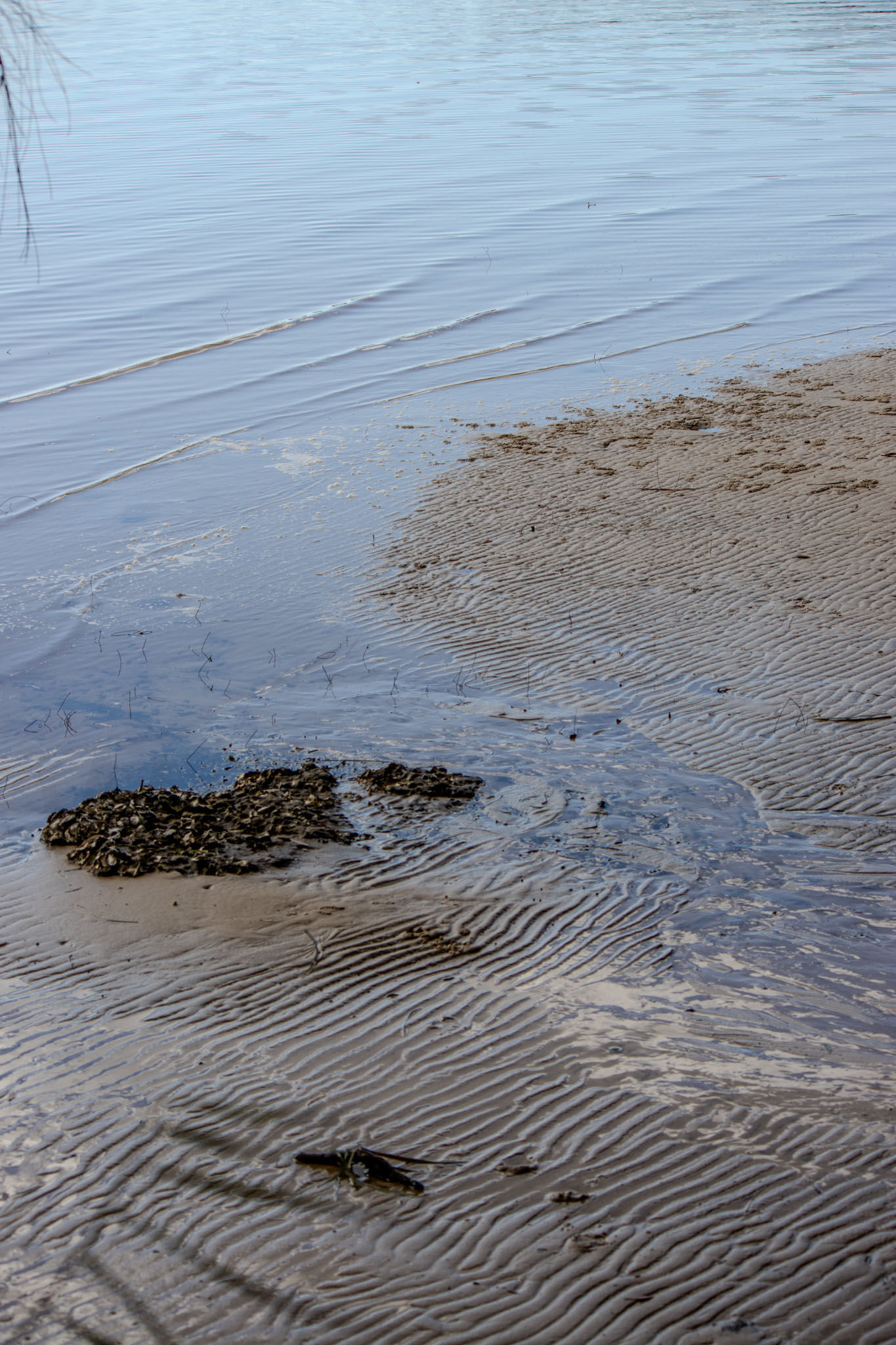 Tanilba Bay Textures