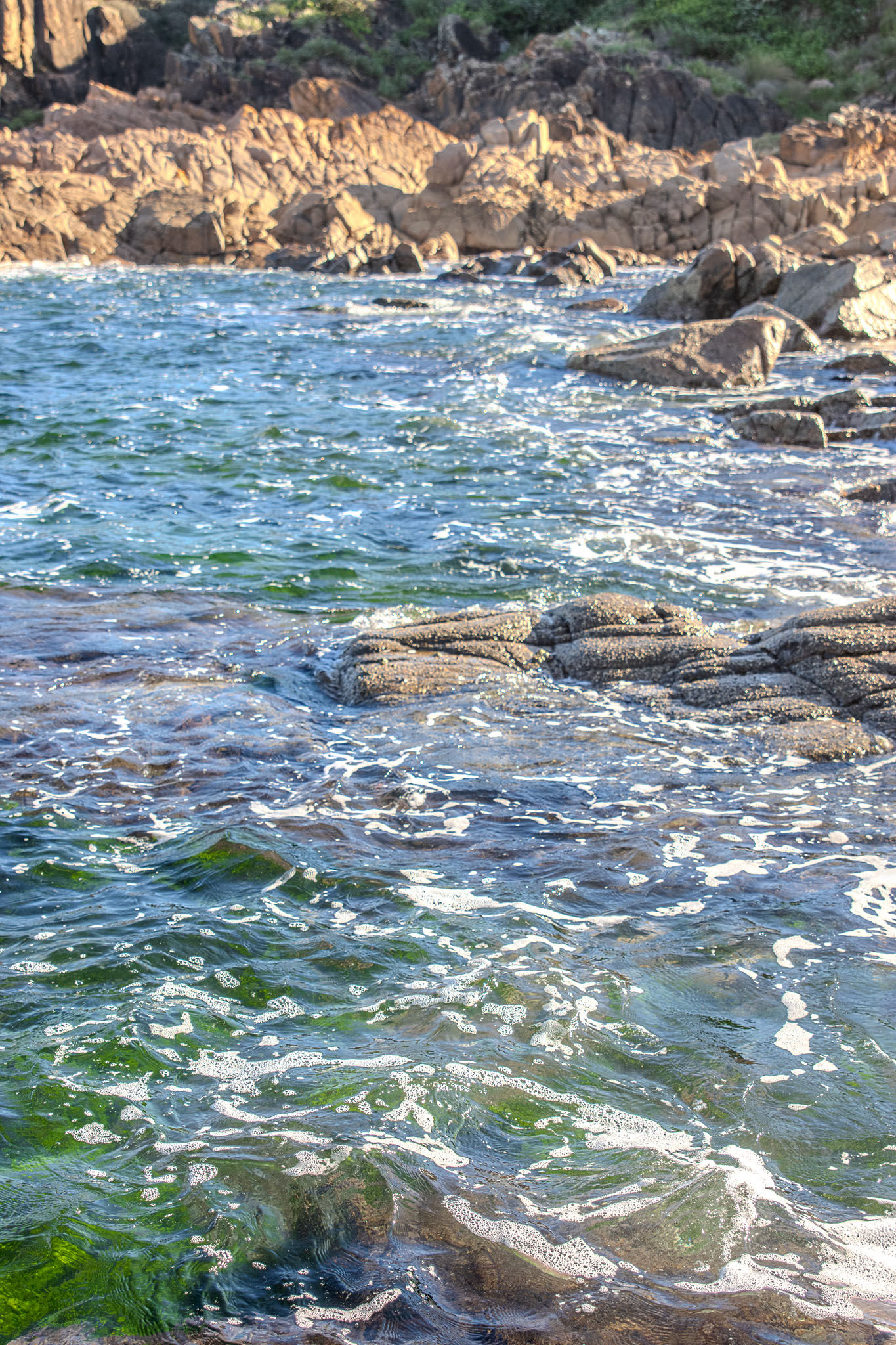 Green Under Water Anna Bay