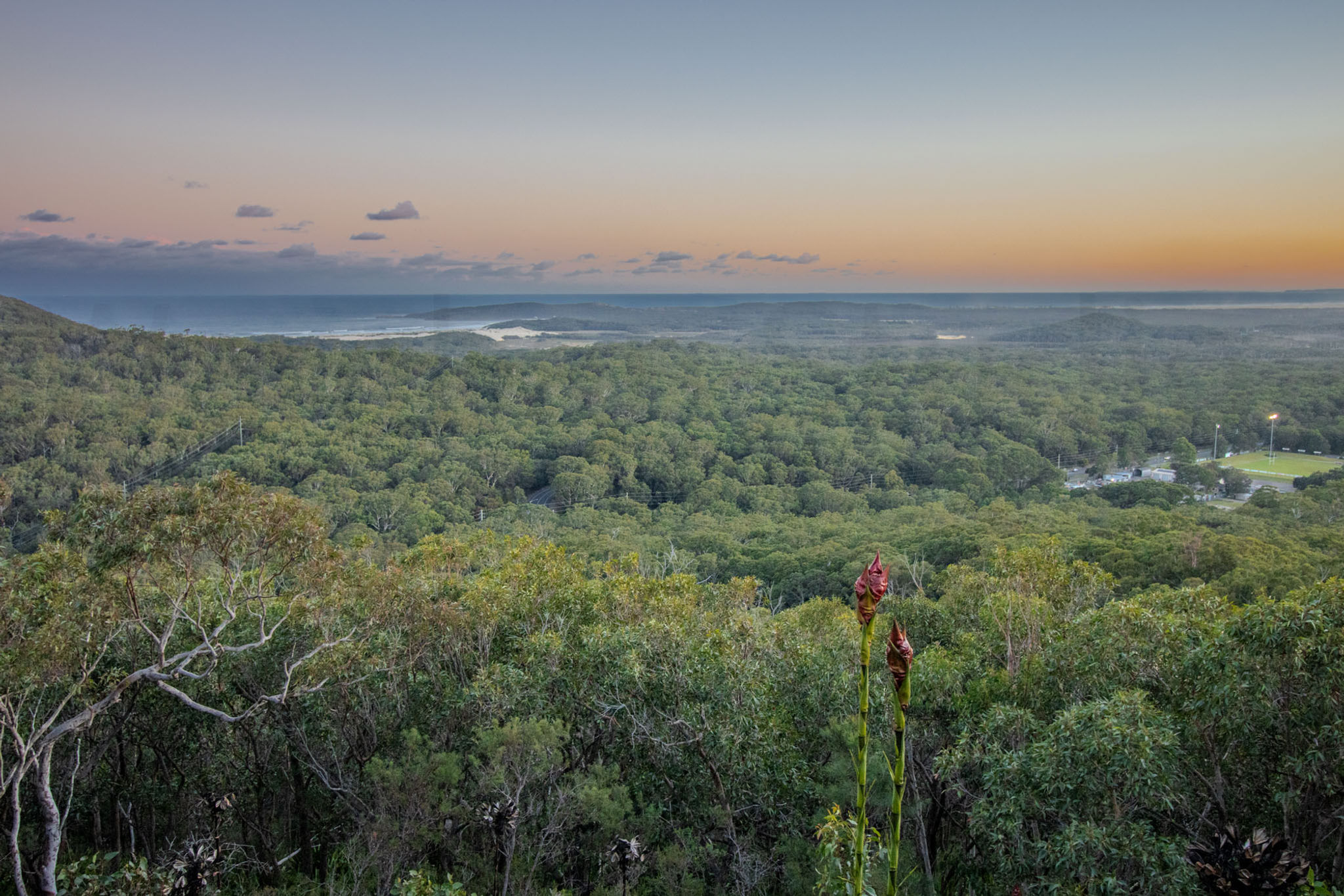 Lily Hill Lookout 2