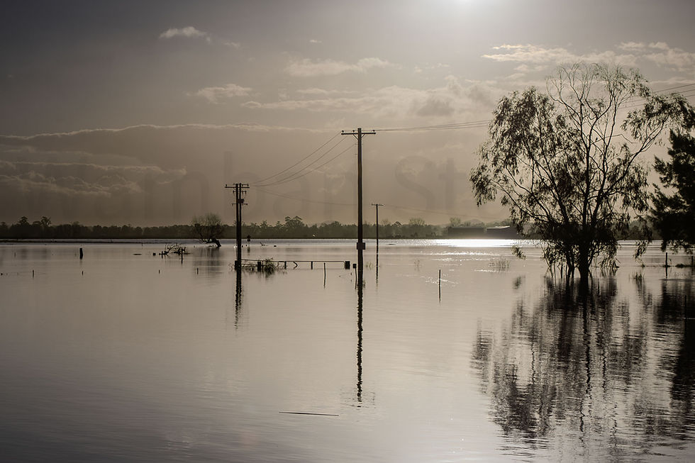 Hunter River Flooded View Powerlines