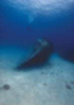 Thumbnail: WRECK DIVER