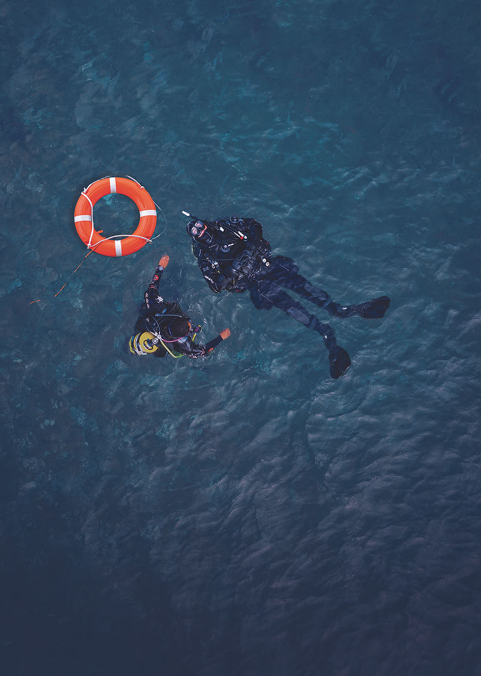 Miniaturbild: RESCUE DIVER