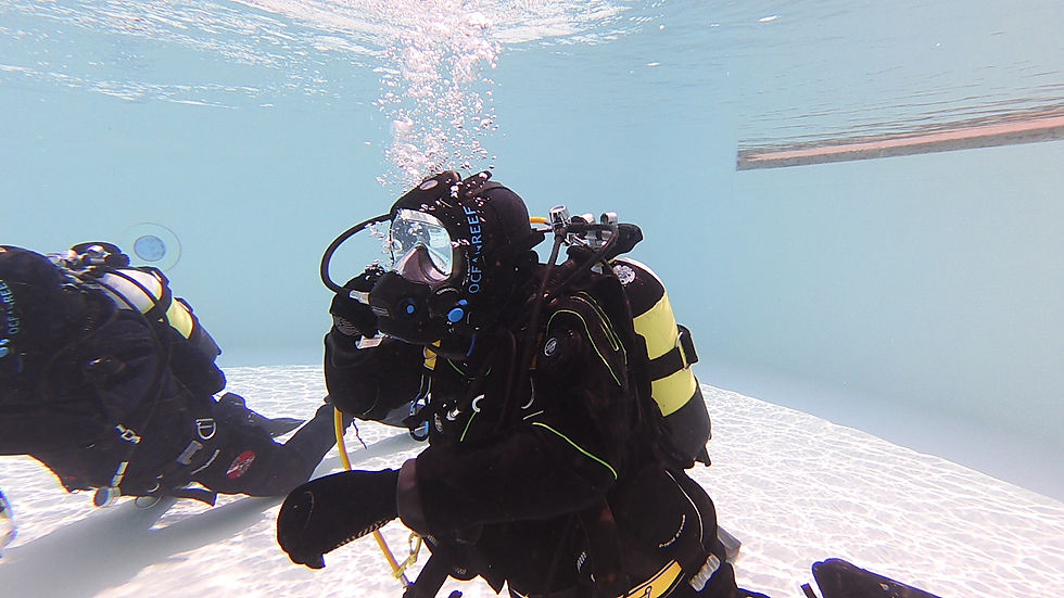 Miniaturbild: FULL FACE MASK DIVER