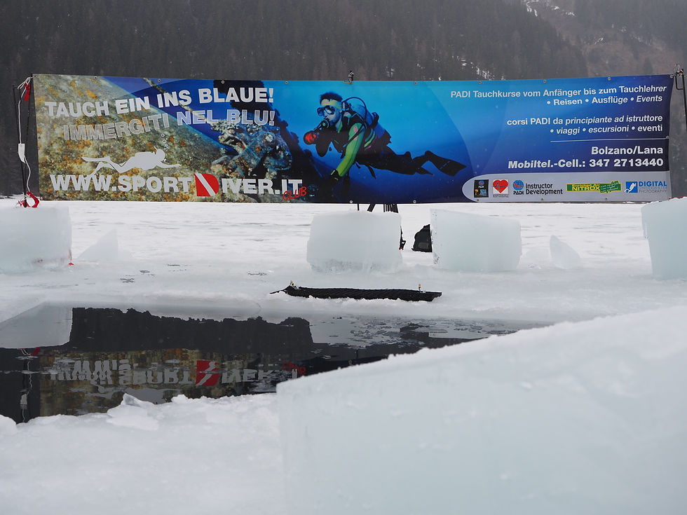 Miniaturbild: ICE DIVER