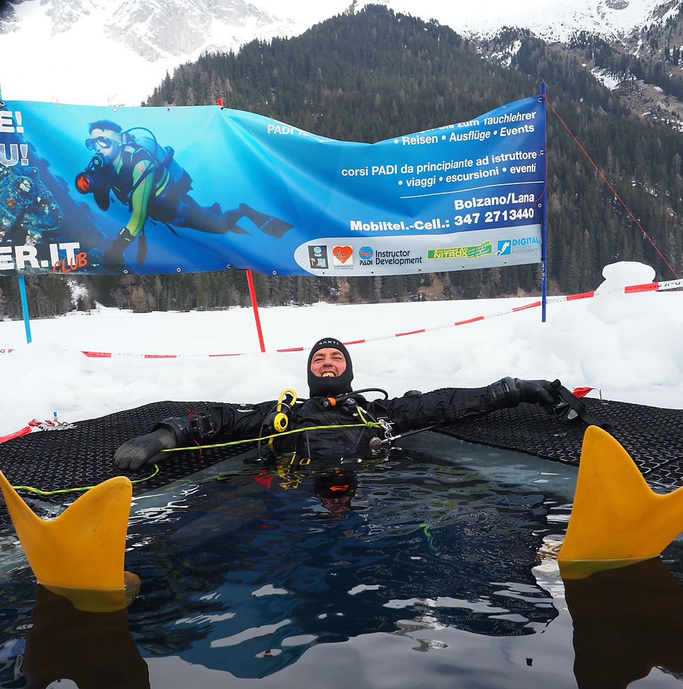 Miniaturbild: ICE DIVER