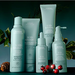 Screenshot 2024-11-08 at 2.14.33 PM.png