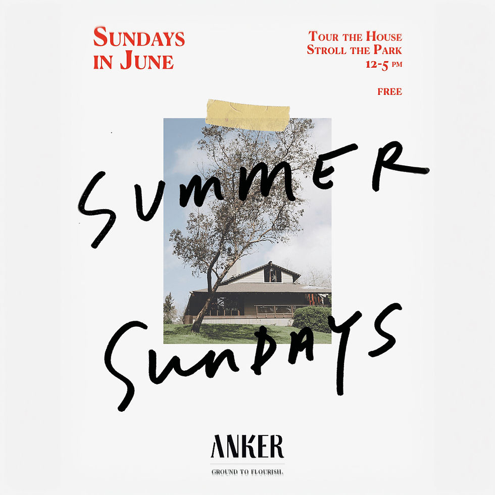 Summer Sunday 6/14
