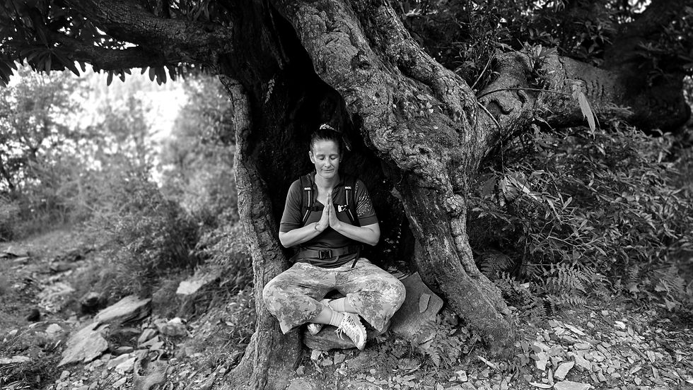 Inspriationen aus mehreren Welten