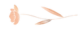 2020-04-05%2520(12)_edited_edited.png