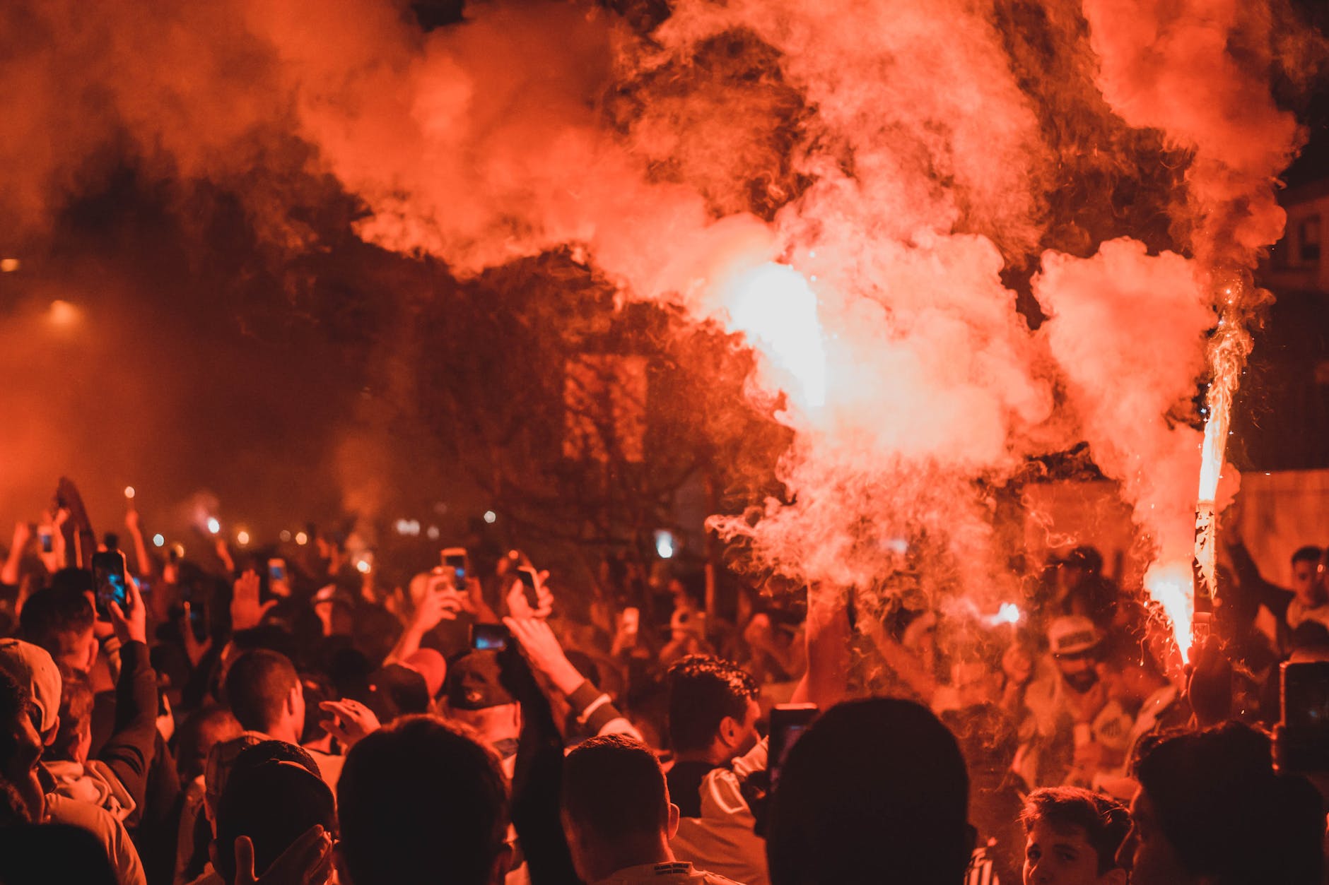 Photo by Mauru00edcio Mascaro on Pexels.com