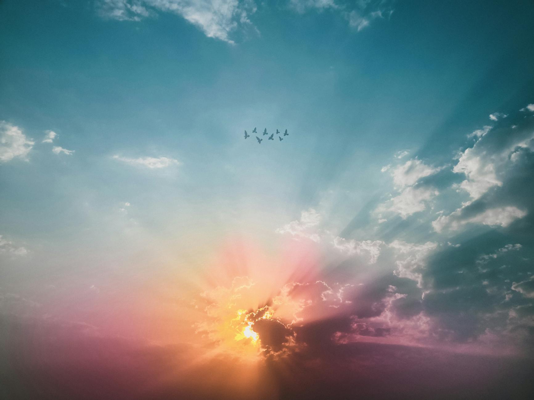 Photo by Rahul Pandit on Pexels.com