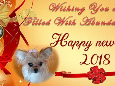 New Year Wishes 2018