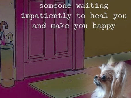 nothing like the support of your dog