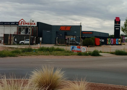 Proyecto Local Comercial PROLUBE