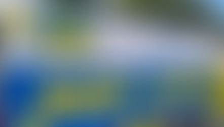 Solidaritate cu FSE Spiru Haret 