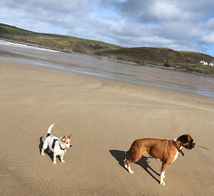 Walks on the beach are a must at Bone From Home