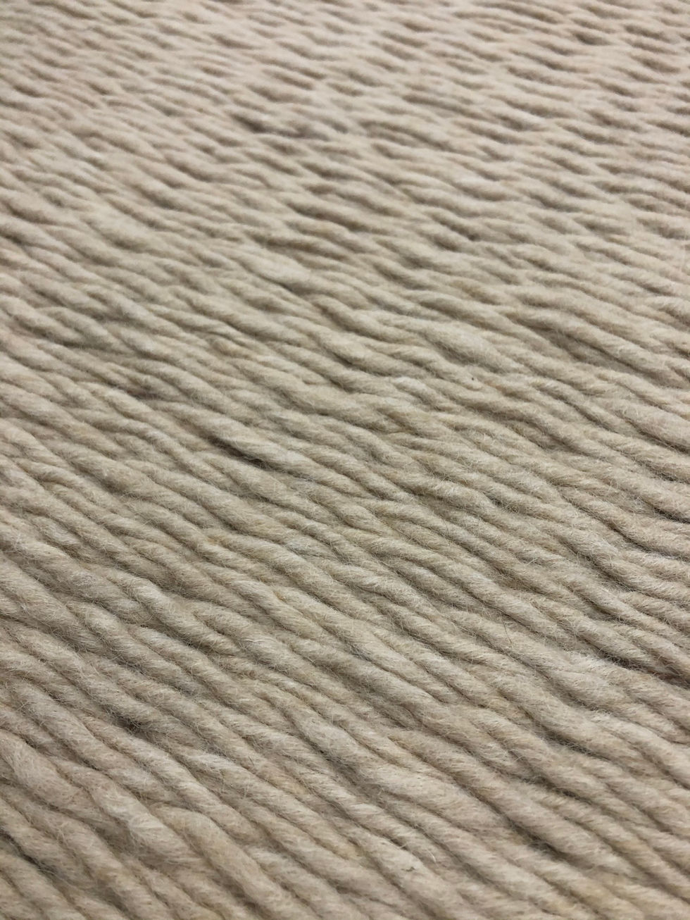 Seagrass
