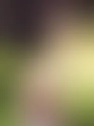 Atualização sobre o Saldamento do Plano Embrapa Básico