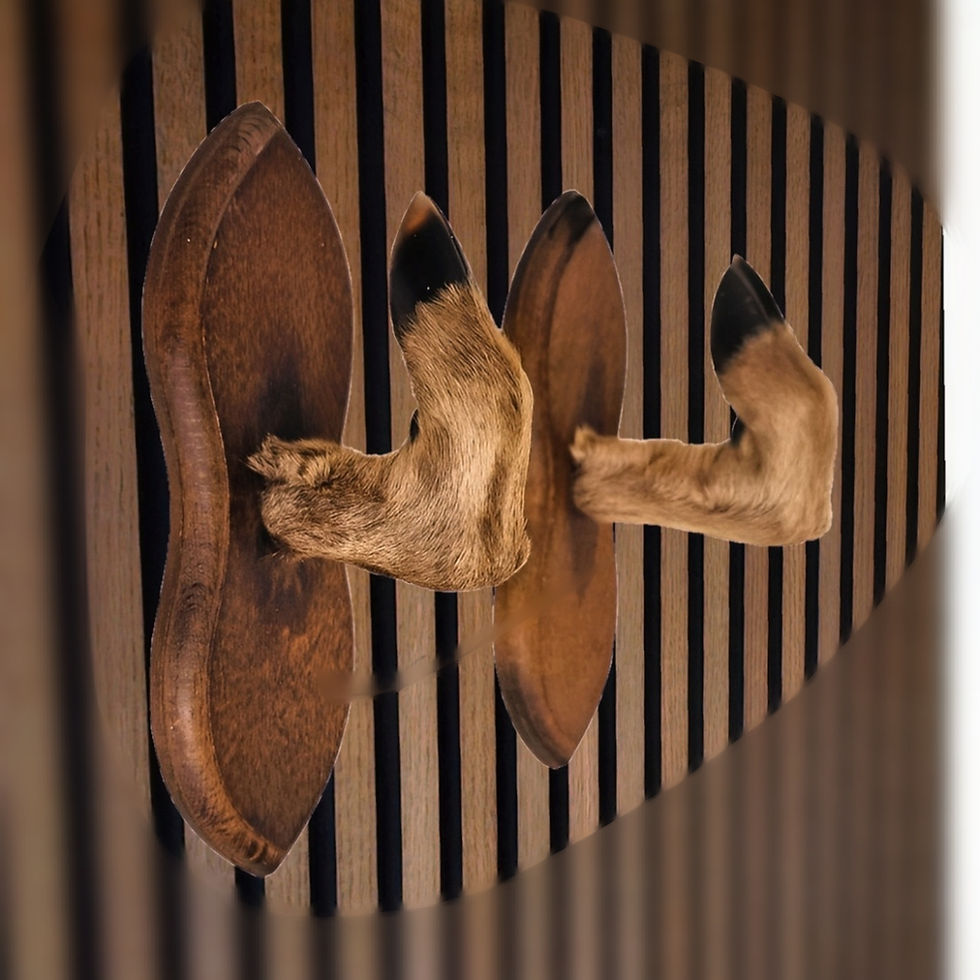 Goat's foot coat rack (1 piece)