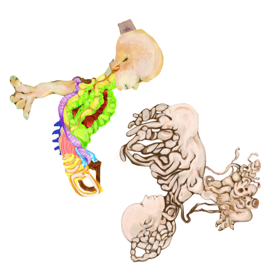 イラストレーション