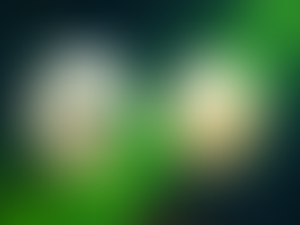 Symbolbild mit XRP- und Litecoin-Logos, grünem Aufwärtstrend-Chart und dynamischem Kryptomarkt-Hintergrund – steht für den aktuellen Altcoin-Boom