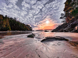 Tofino cove Sunset