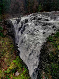 Englishman River Falls